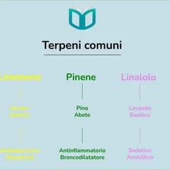 terpeni