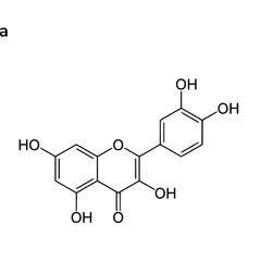 quercetina